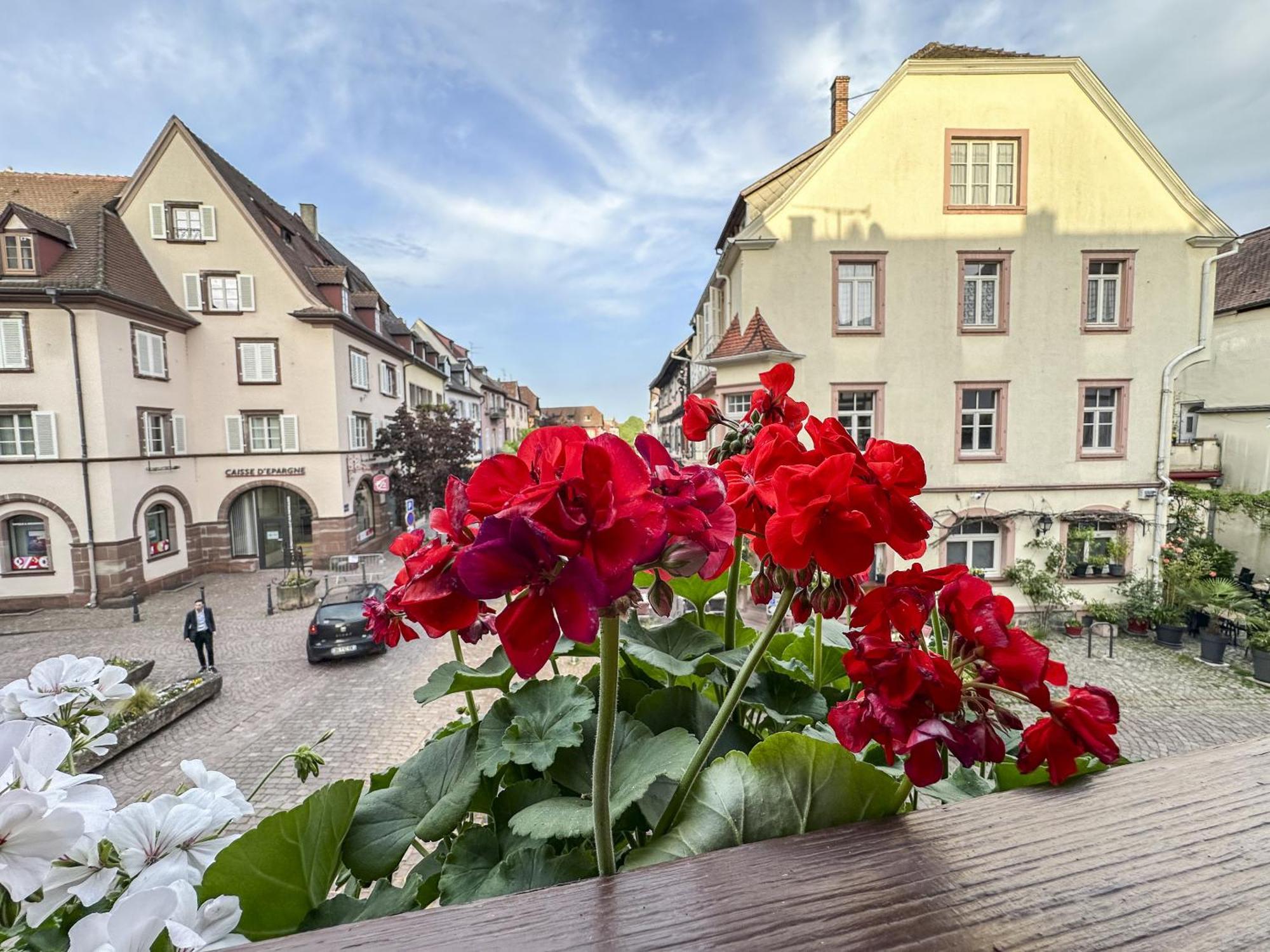 Origin'Alsace Daire Kaysersberg-Vignoble Dış mekan fotoğraf