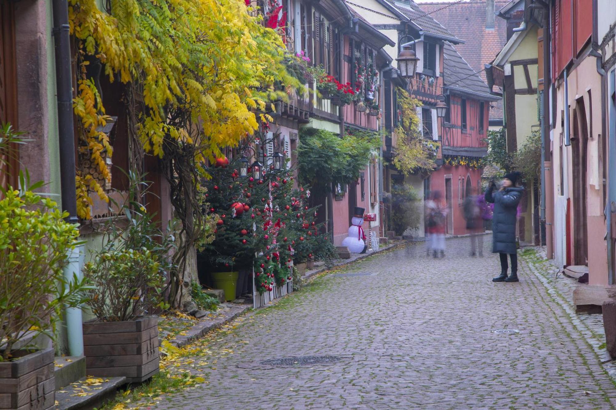 Origin'Alsace Daire Kaysersberg-Vignoble Dış mekan fotoğraf